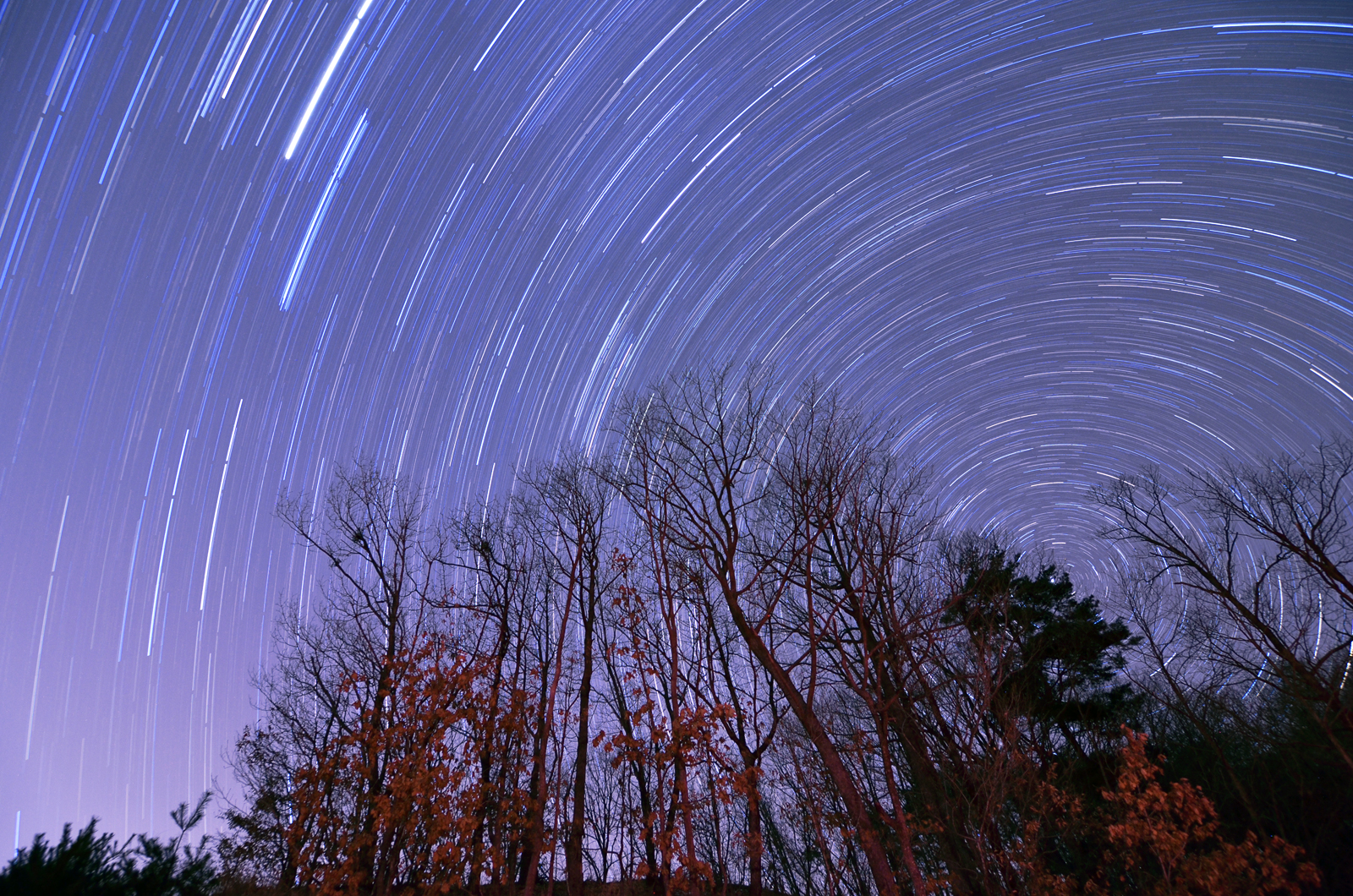 Startrails2013.jpg