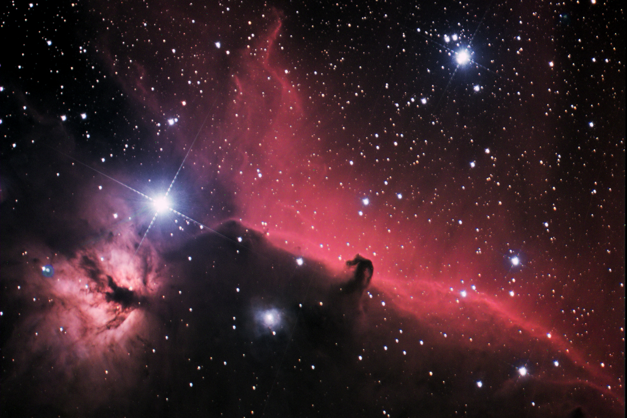 horsehead_20091118.jpg