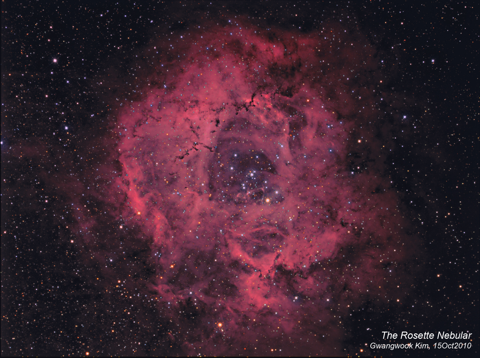 rosette_gwkim_15oct2010-h.jpg