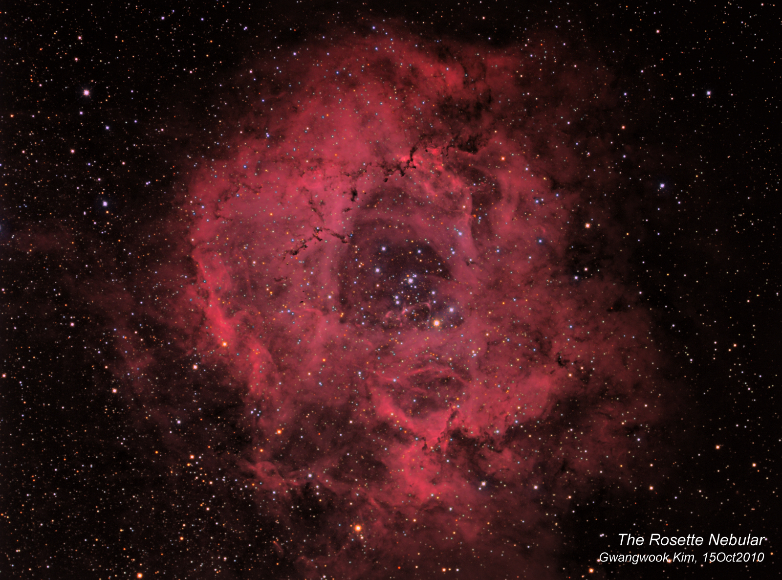 rosette_gwkim_15oct2010.jpg
